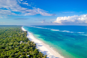 Safari à Diani : Plages de Sable Blanc et Vie Sauvage