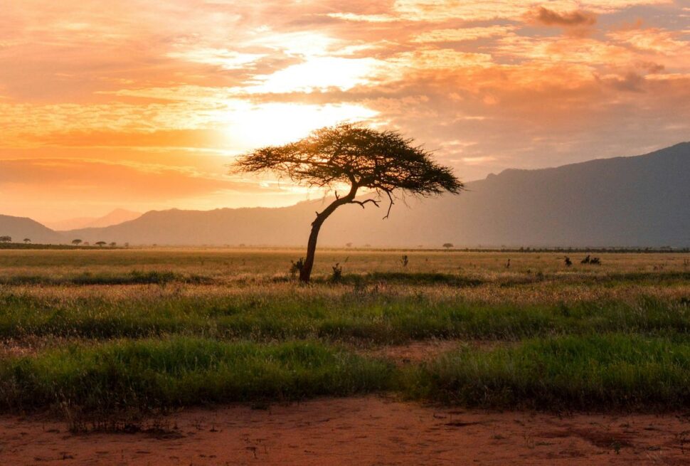 Safari au lac Magadi : Un joyau caché du Kenya