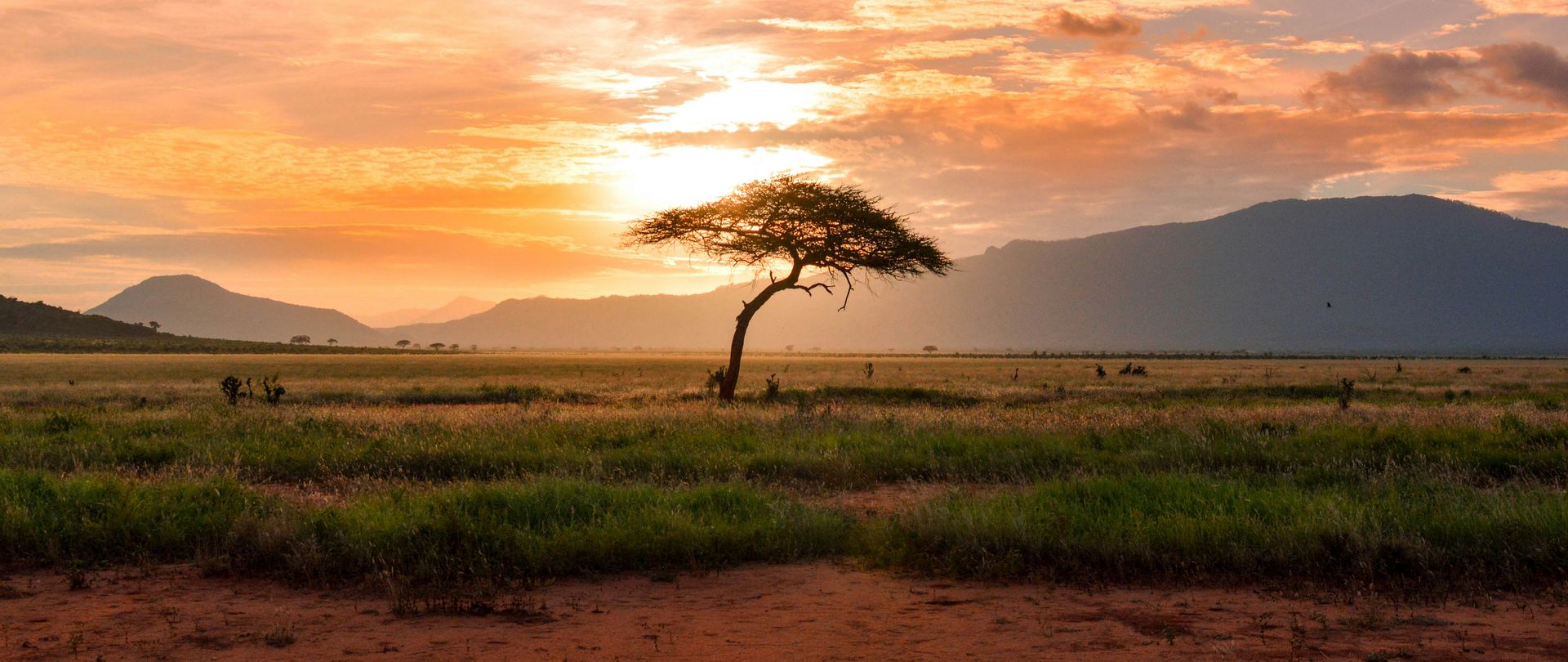 Safari au lac Magadi : Un joyau caché du Kenya