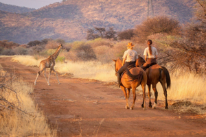 Utilisation de termes pertinents comme "safari à cheval au Kenya", "Meilleur safari équestre" et "Maasai Mara safari à cheval