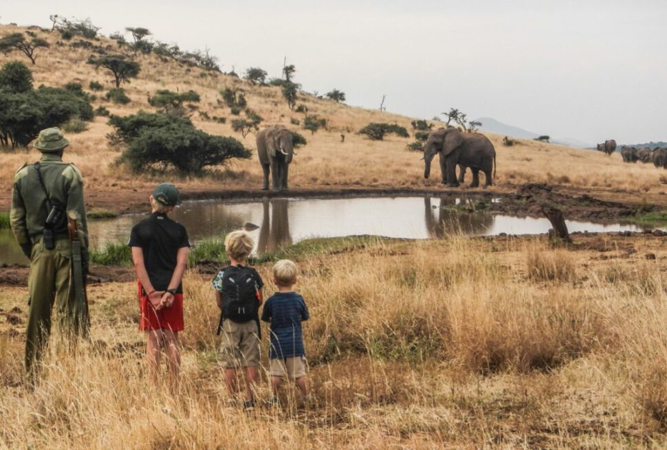 Safari en famille au Kenya, destinations safari, voyage au Kenya